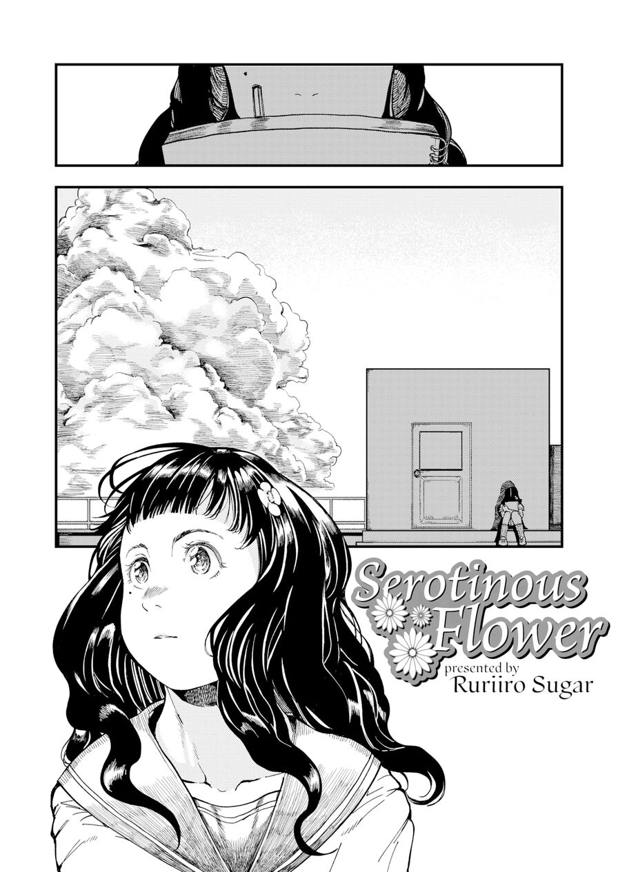 [Ruriiro Sugar] Serotinous Flower (Comic Aoha 2021 Summer)